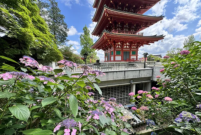 高幡不動尊金剛寺（日野市）