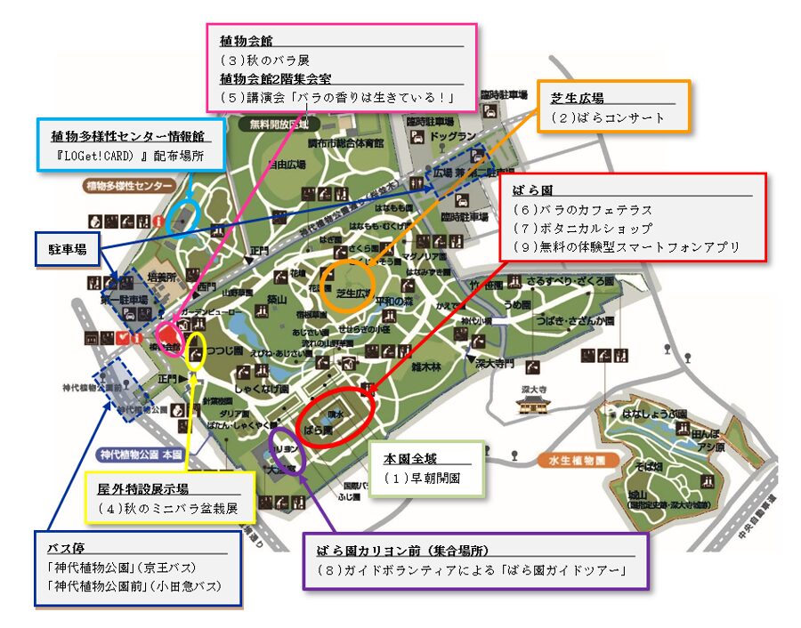 神代植物公園「秋のバラフェスタ」2025|早朝開園・コンサート・展示で楽しむ“香る秋バラ”