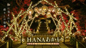 【稲城市】HANAあかり｜HANA・BIYORIの和のイルミネーション— 竹あかりが灯す幻想庭園