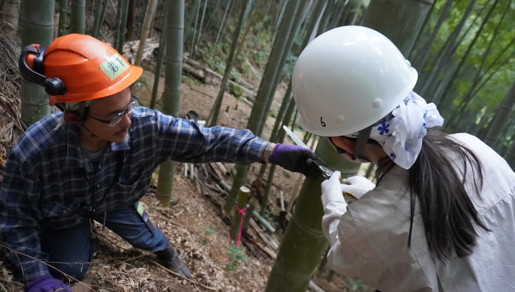 【稲城市】いなぎめぐみの里山で竹の間伐体験!自然とふれあいながら学ぶ環境保全活動