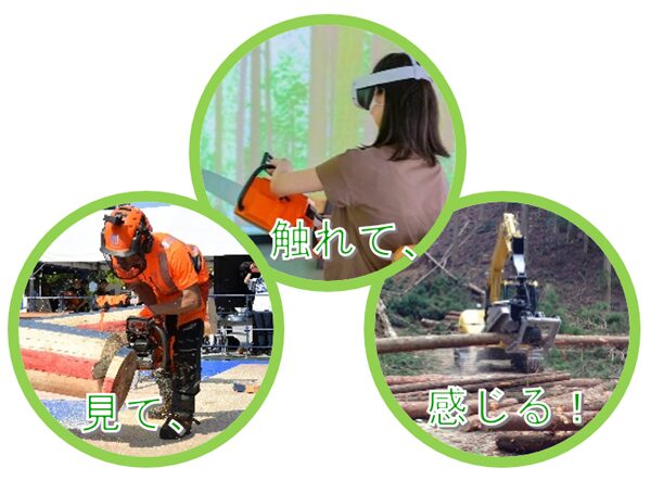 【2026年2月開催】山しごと体感フェスティバル｜昭和記念公園で林業・森林を楽しむ体験イベント【東京都】